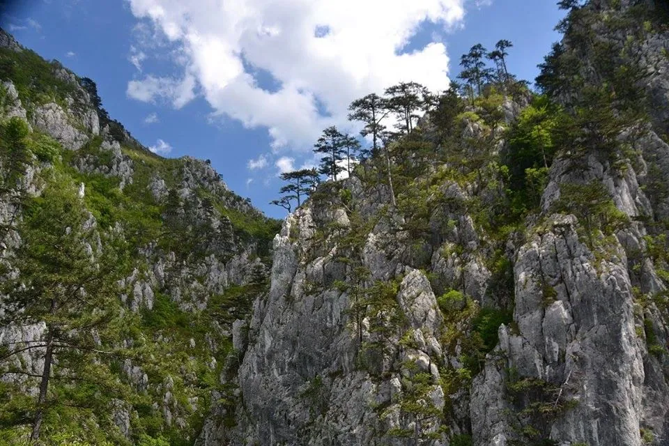 Împrejurimile Băilor Herculane