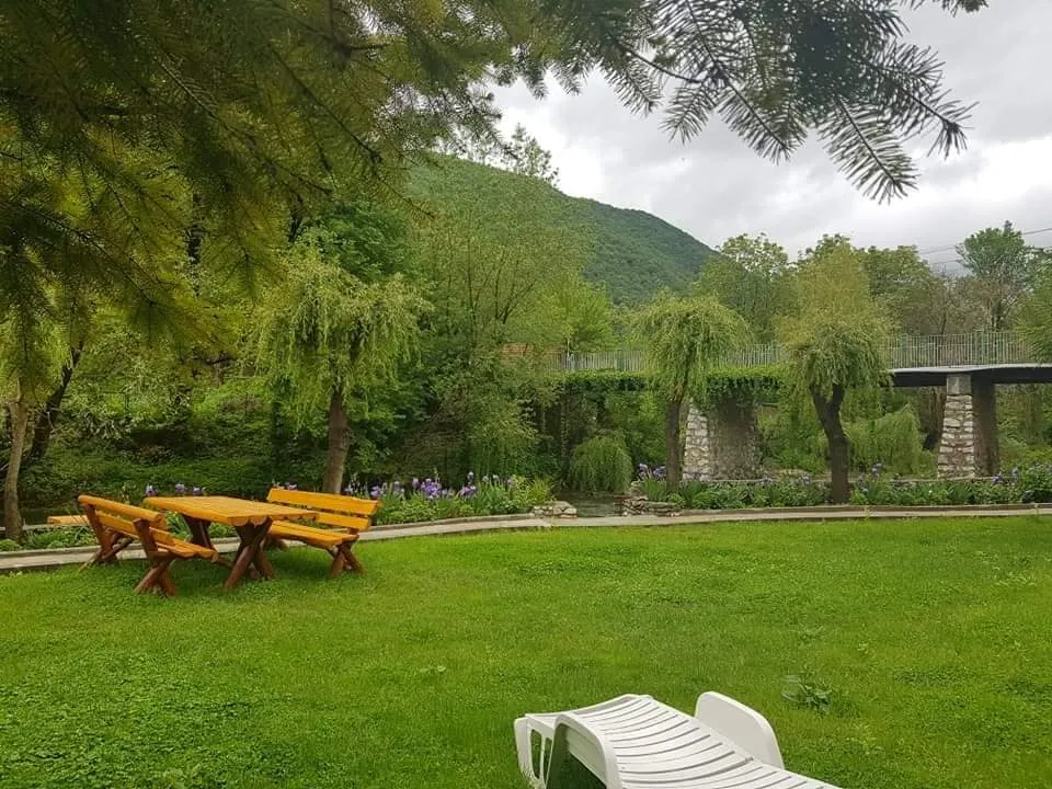 Peluza grădinii