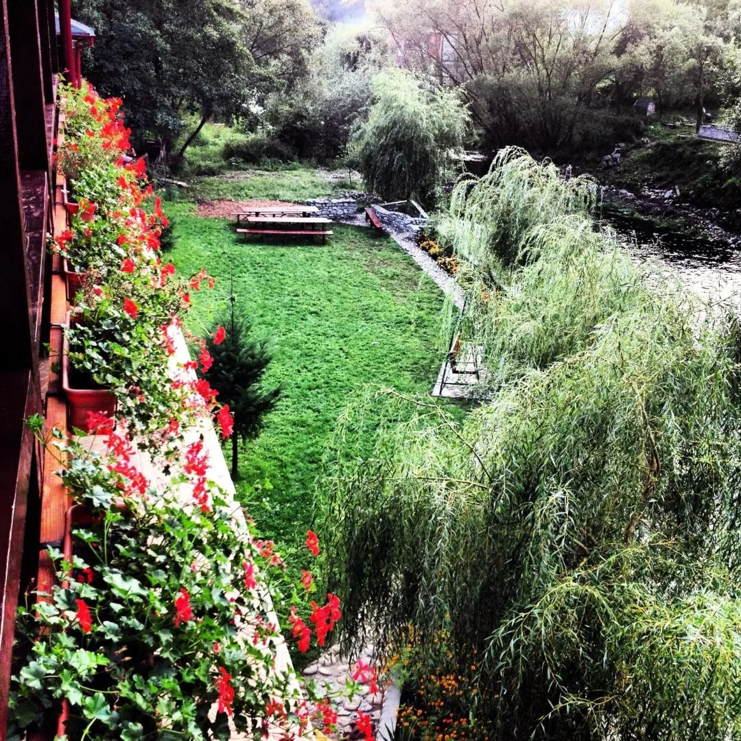Grădina Magic Garden și râul Cerna