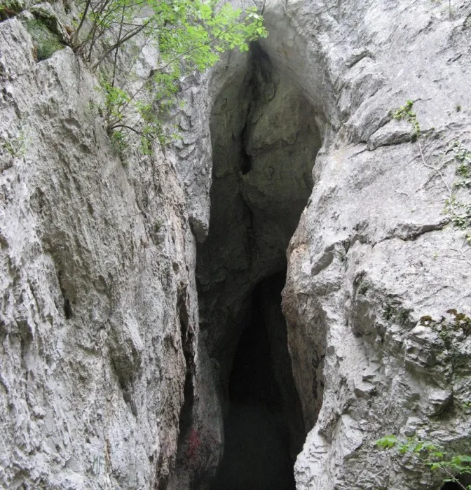 Împrejurimile Băilor Herculane